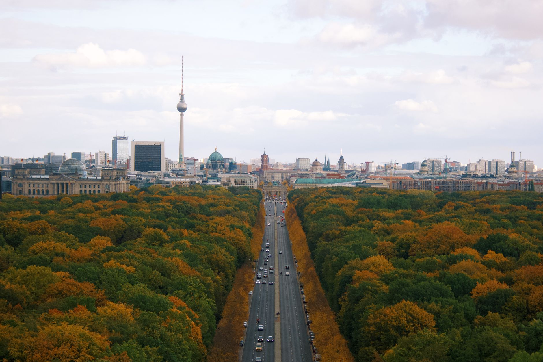 Autumn foliage in a Berlin park with golden leaves