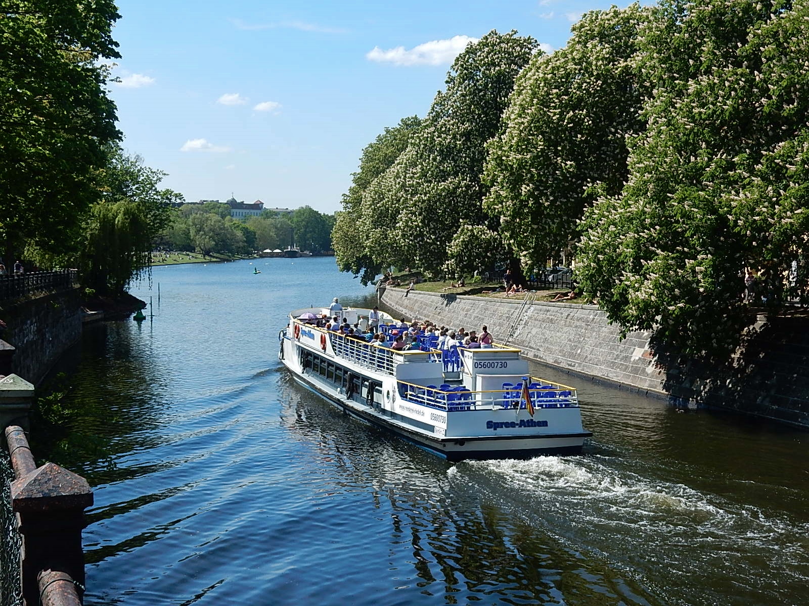 A white tour boat with passengers on the open upper deck cruising along a narrow waterway lined with a stone embankment and chestnut trees in blossom