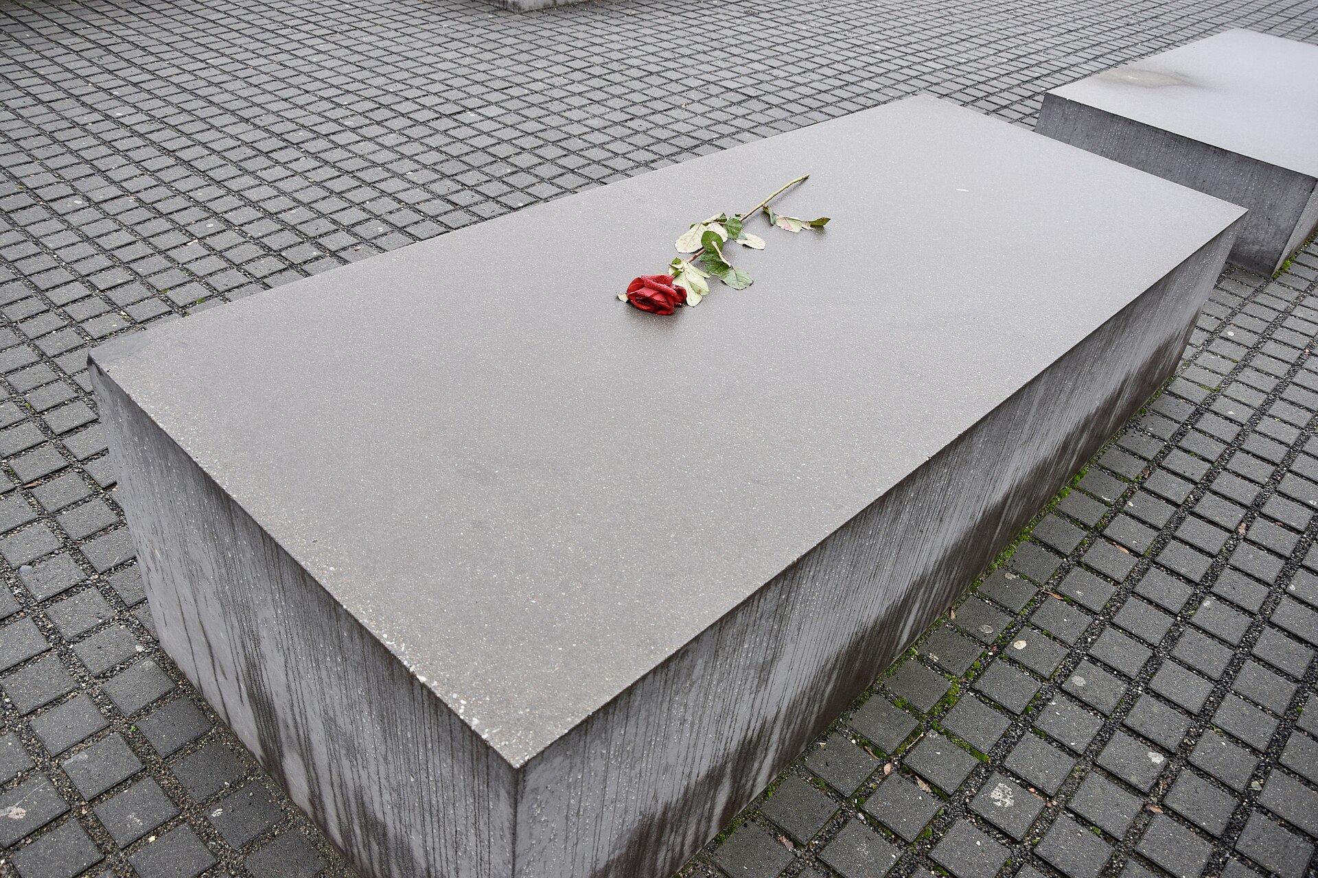 A single red rose left on top of one of the concrete stelae at the Holocaust Memorial in Berlin
